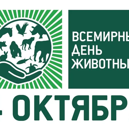 День защиты животных